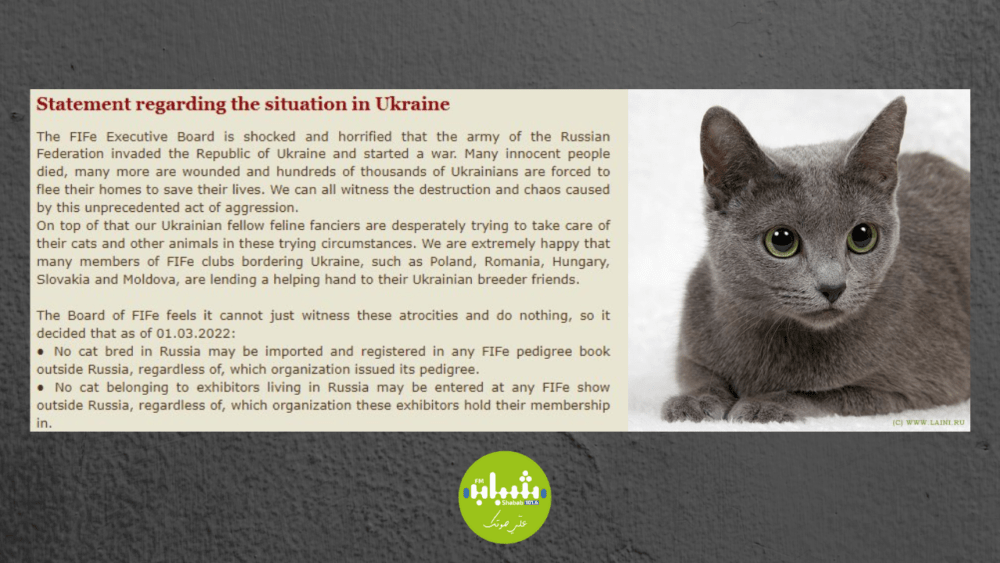 فرض عقوبات على سلالات "القطط الروسية"