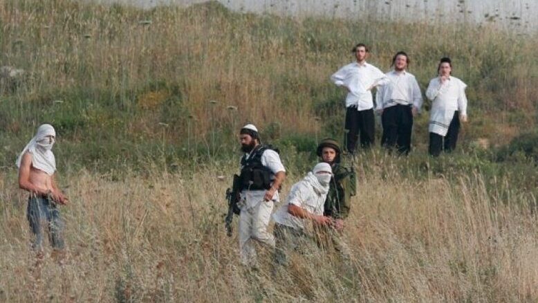 مستوطنون يهاجمون رعاة الأغنام في الأغوار الشمالية