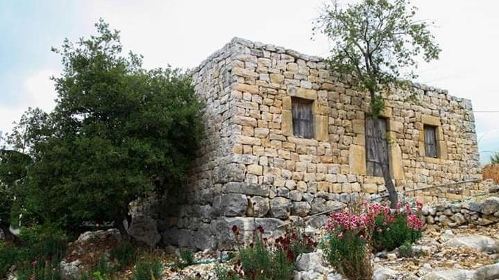 وداد البرغوثي وروايتها – سيرتها “البيوت”: “البيوت في الأدب الفلسطيني”