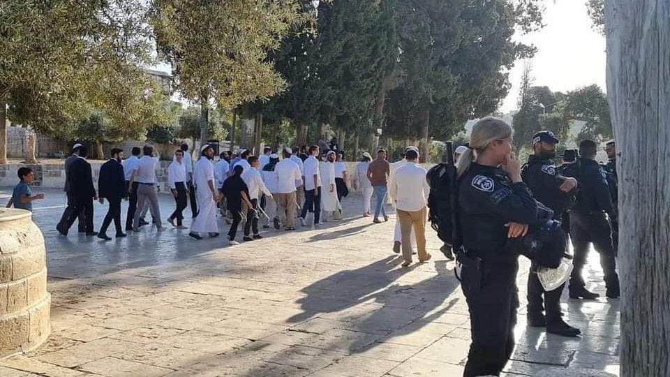 مستوطنون يقتحمون الأقصى وقوات الاحتلال تحاصر المسجد القبلي