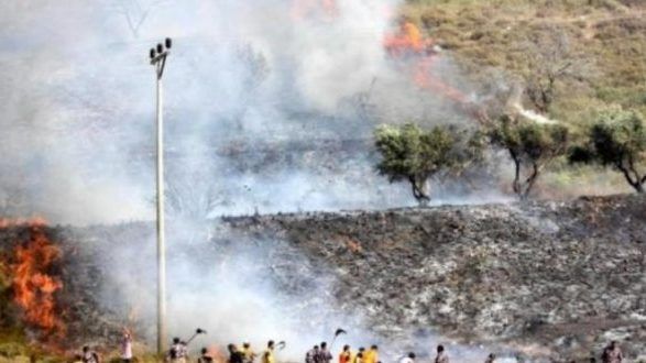 مستوطنون يحرقون أراضي زراعية ويهاجمون منازل جنوب نابلس