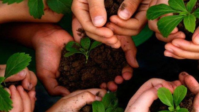 اليوم العالمي للبيئة... والواقع البيئي في فلسطين!!