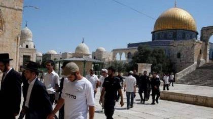 مستوطنون ينفذون جولات استفزازية بالأقصى