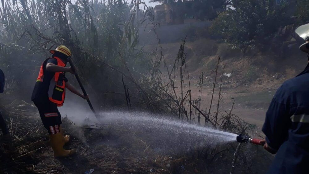 7 سنوات سجن عقوبة من يضرم النيران في الأراضي الحرجية قصدا