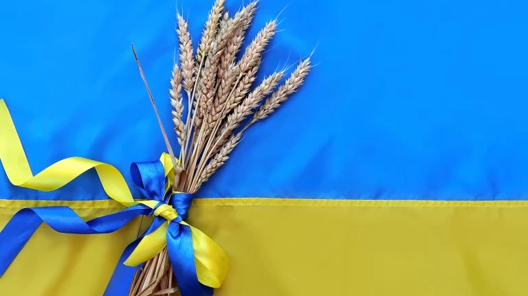 من المسؤول عن تجويع العالم؟؟