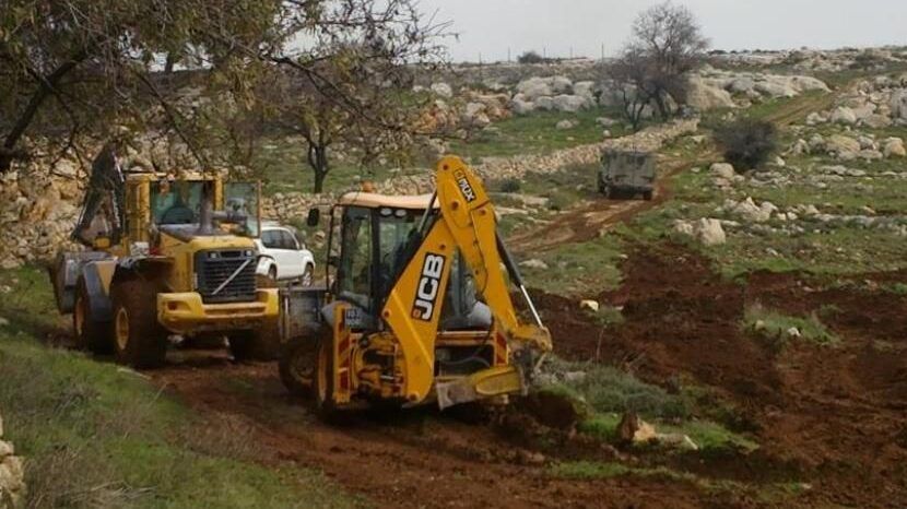 الاحتلال يقتلع 166 شتلة نخيل وحمضيات ويدمر خط مياه شمال أريحا