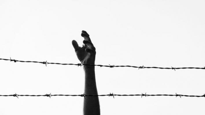 الحركة الأسيرة تقرر بدء حراك بخطوات جديدة وصولًا لإضراب مفتوح عن الطعام