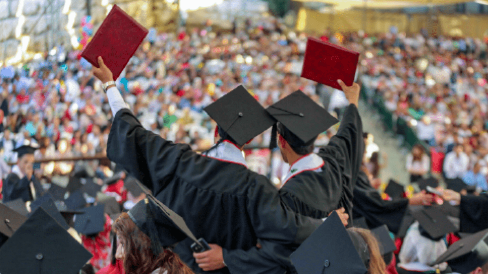 فلسطين.. خمس المجتمع شباب ونصفهم خارج العمل والتعليم