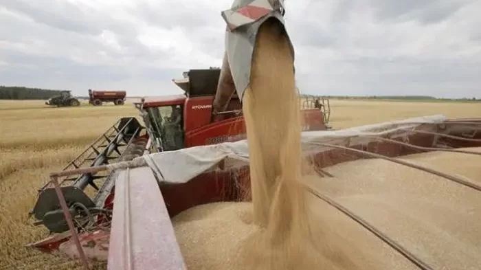 بوتين يكشف تفاصيل وجهة صادرات الحبوب الأوكرانية