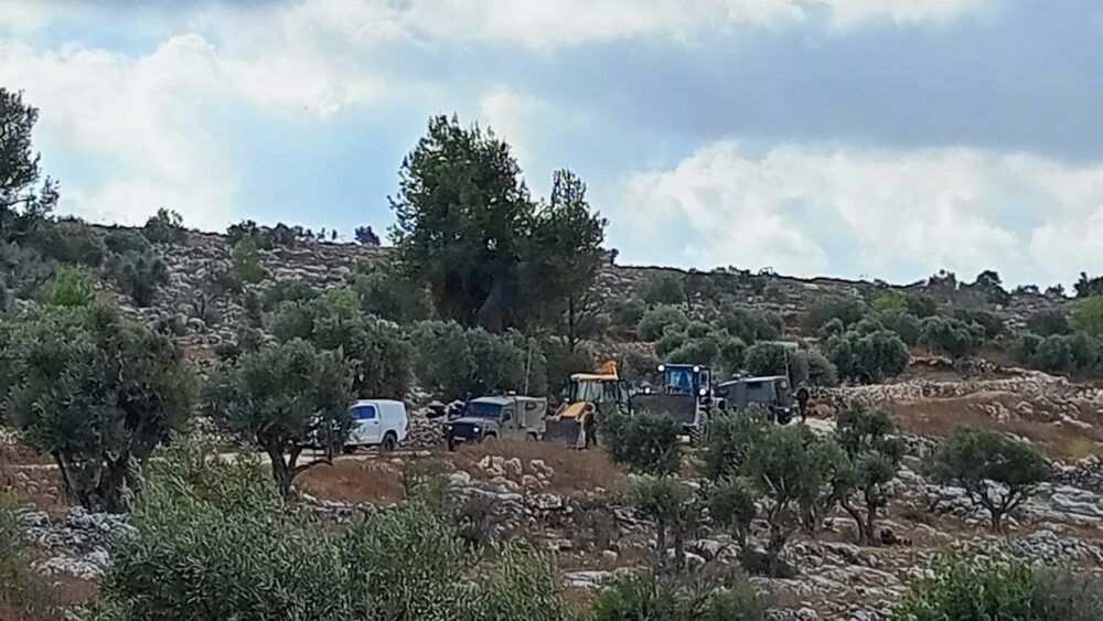 هدم غرفة زراعية وإقتلاع أشتال زيتون في روجيب شرق نابلس