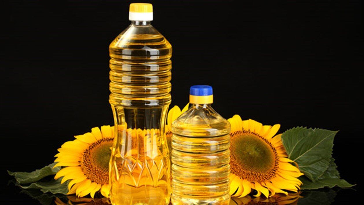 إحالة 15 مخالفا للنيابة العامة الأسبوع الماضي