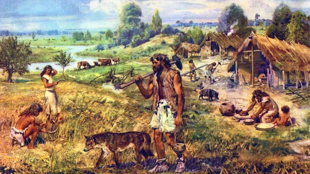 الإنسان والزراعة.. من طوَّر الآخر؟