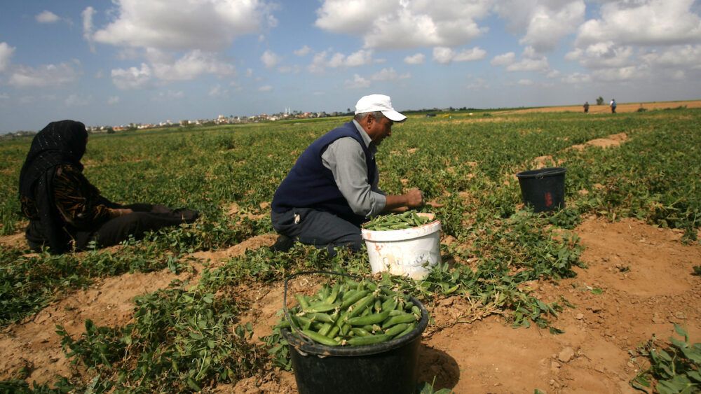 الاحتلال يستهدف المزارعين والصيادين شمال وجنوب قطاع غزة