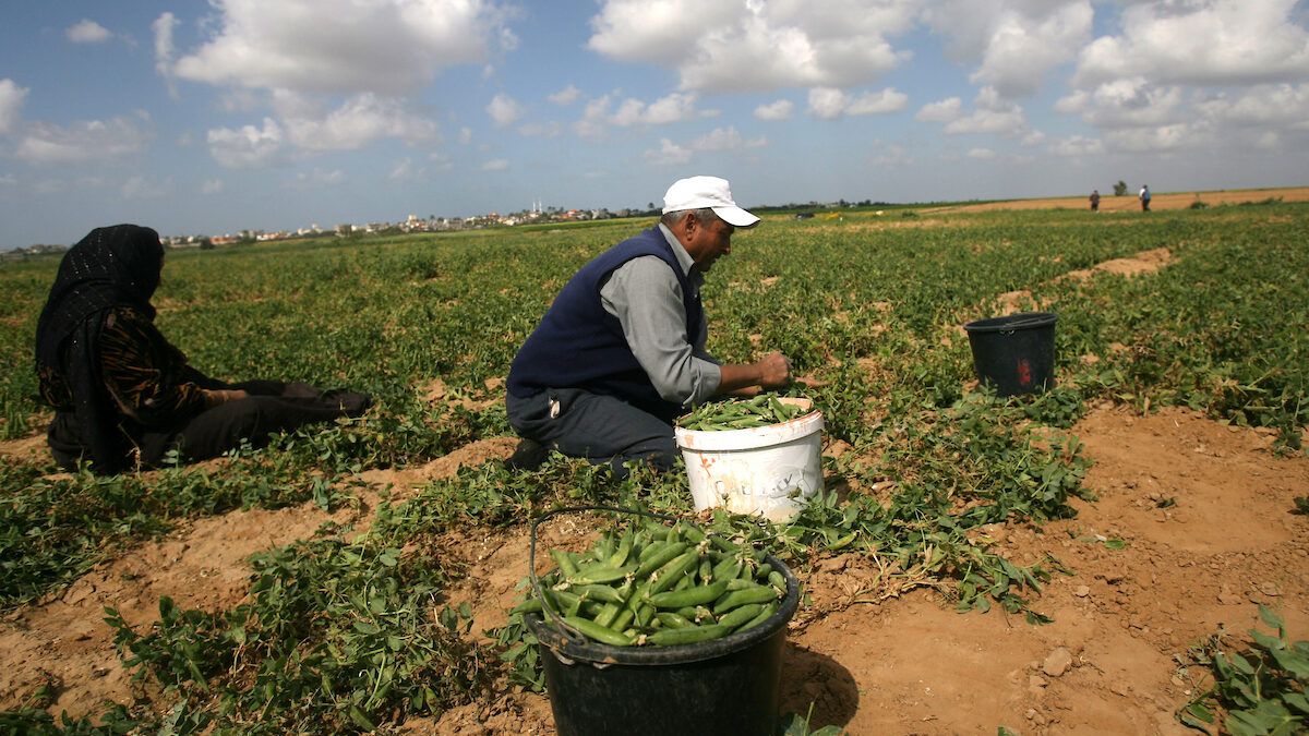 الاحتلال يستهدف المزارعين والصيادين شمال وجنوب قطاع غزة