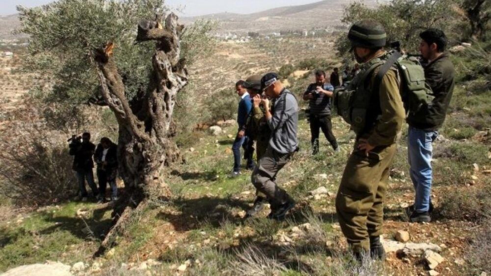 مستوطنون يواصلون مضايقة المواطنين في خلة مكحول بالأغوار