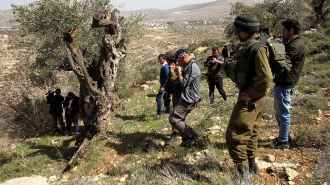 مستوطنون يواصلون مضايقة المواطنين في خلة مكحول بالأغوار