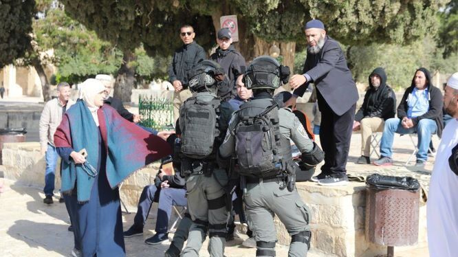 مستوطنون يقتحمون الأقصى وقوات الاحتلال تعتدي على المرابطات