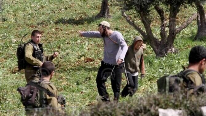 دغلس يحذر من تصاعد هجمات المستوطنين ضد المواطنين وممتلكاتهم