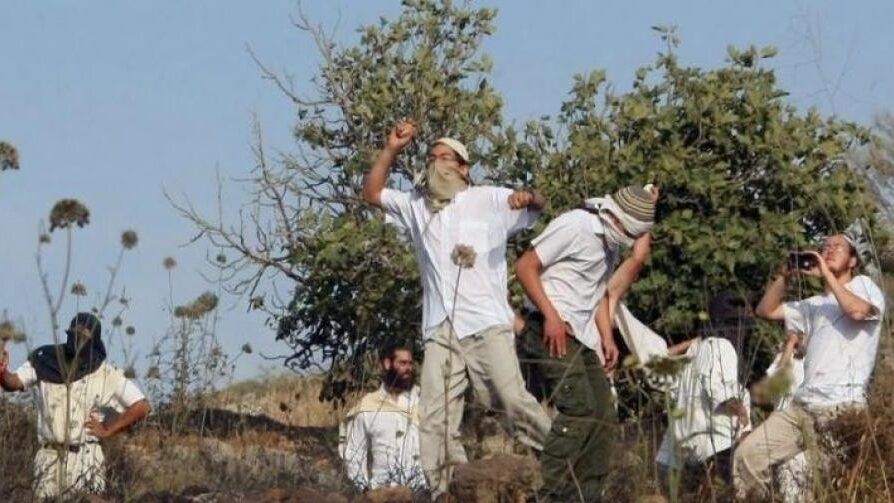 مستوطنون يهاجمون مركبات الفلسطينيين في الأغوار الشمالية