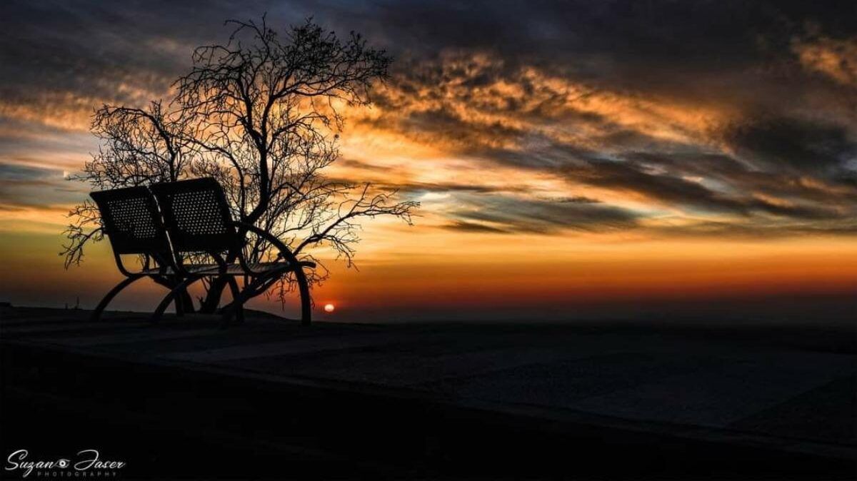 فوز محاضِرة من "القدس المفتوحة" بـ"أفضل مصور عربي في العالم لعام 2022"