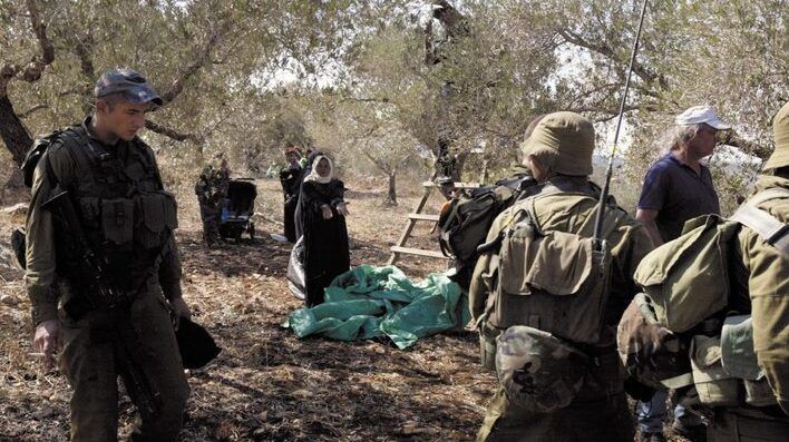 مستوطنون يحرقون مركبة ويقتلعون أشتال زيتون في المغير شرق رام الله