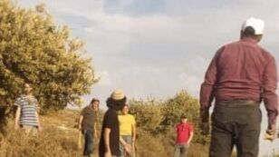 مستوطنون يهاجمون قاطفي ثمار الزيتون في عزموط