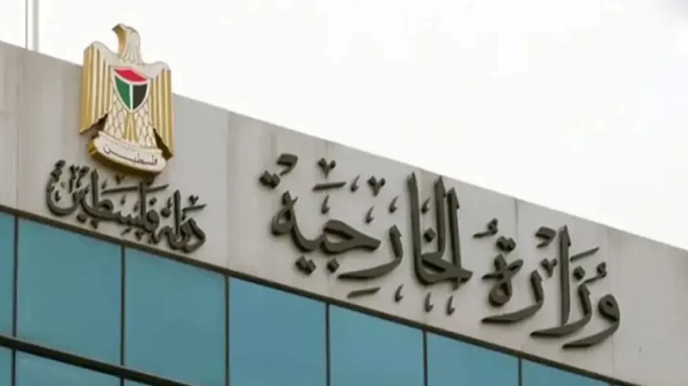 الخارجية: نطالب بتوفير الحماية الدولية لأطفال فلسطين