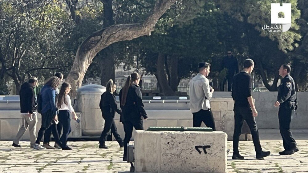 بحماية شرطة الاحتلال مستوطنون يقتحمون "الأقصى"