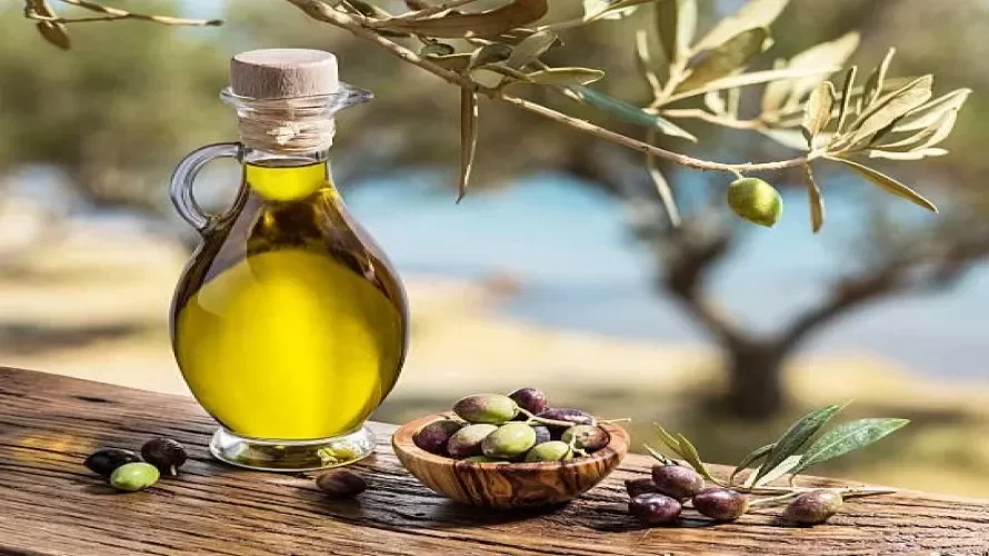 السماح بإدخال زيت الزيتون إلى المملكة الأردنية الهاشمية