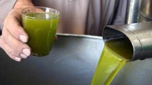 وزارة الزراعة: الاعلان عن الحد الادنى لسعر كيلو الزيت الفلسطيني