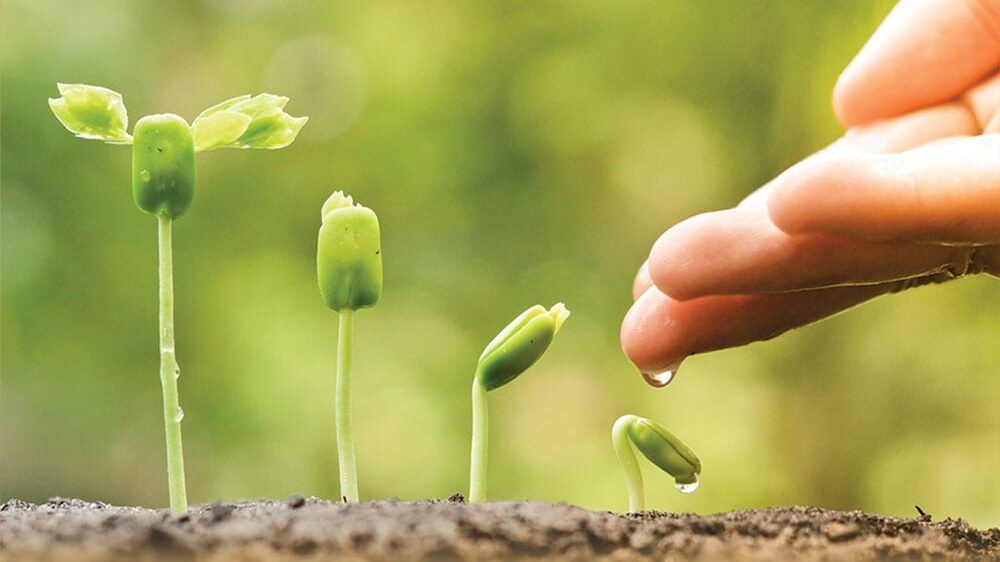 عامل الأخلاق في بناء الدولة