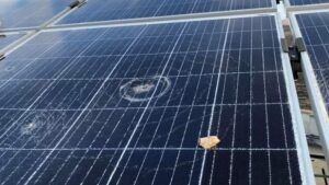 أكثر من 40 مستوطنًا يحطمون الخلايا الشمسية في مدرسة عوريف الثانوية