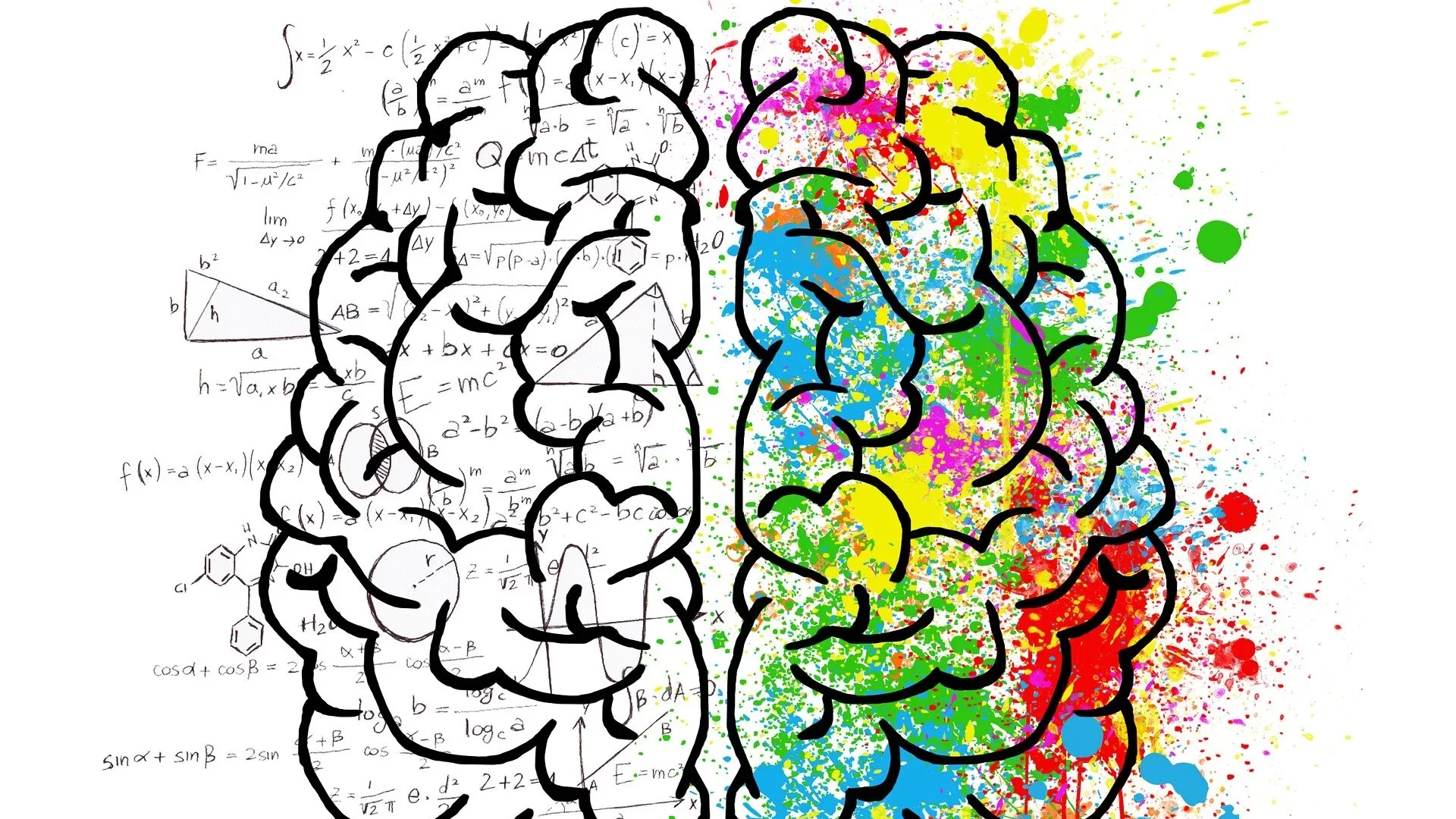 أنا واللغة والحساب وأبي