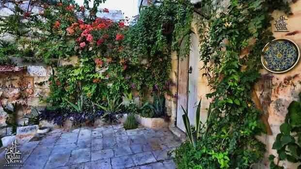 يا ابن البلد تريث قليلا ولا تغادر..