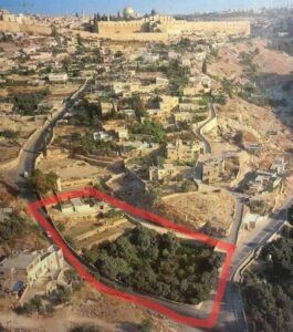 القدس: مستوطنون يستولون على 5 دونمات في واد حلوة