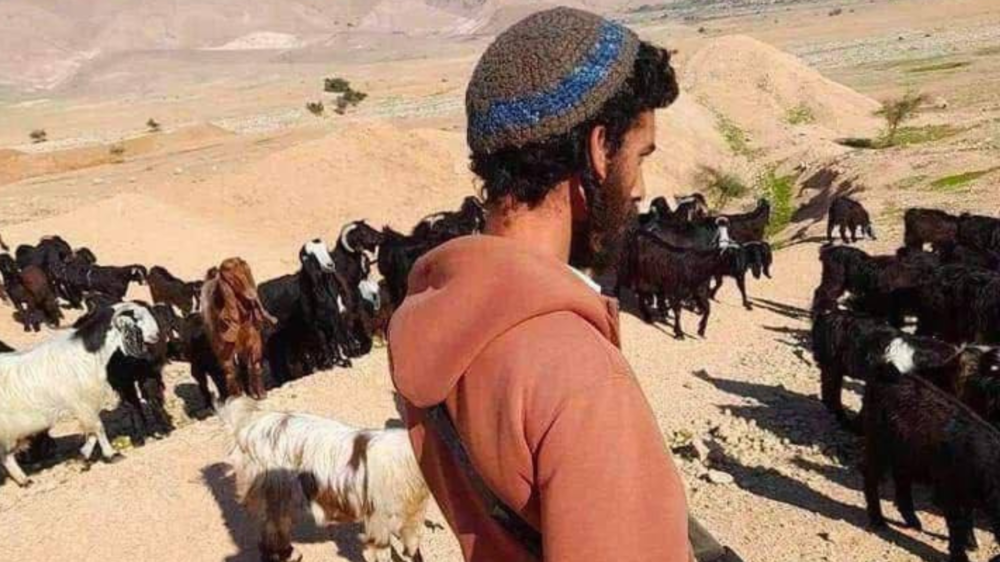 مستوطنون يجبرون رعاة الأغنام في المعرجات على ترك المراعي