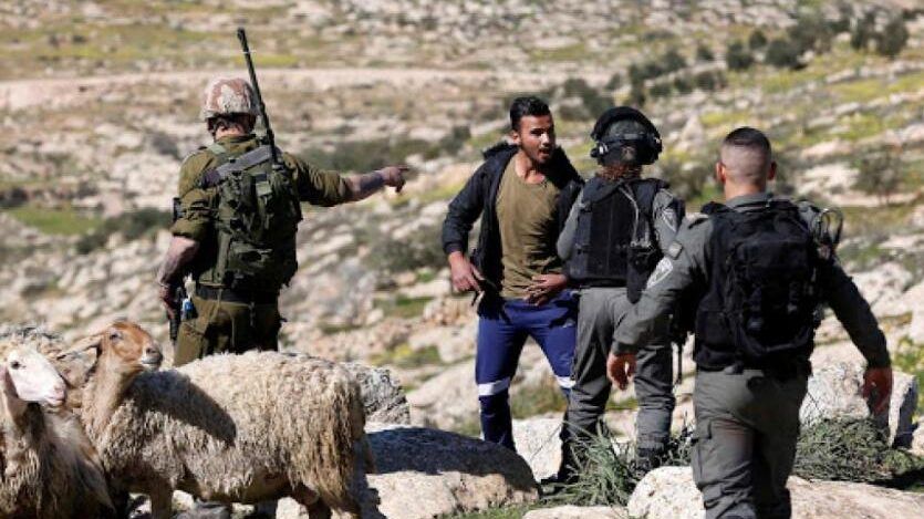 مستوطنون يعتدون على رعاة الأغنام جنوب الخليل