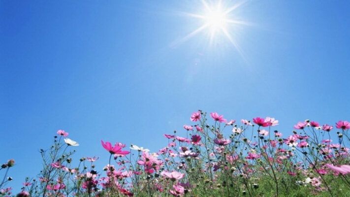 حالة الطقس: توالي ارتفاع درجات الحرارة حتى الثلاثاء