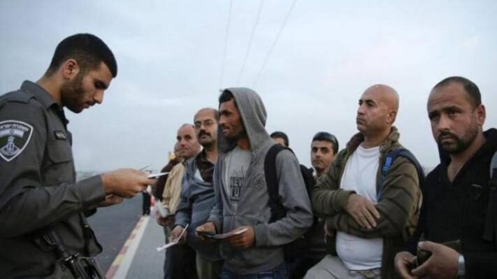 اعتقال 256 عاملاً فلسطينيًا الأسبوع الماضي