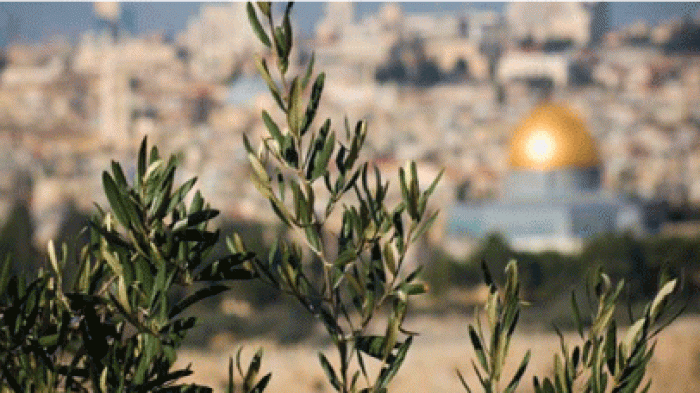 زيت القدس ورأس التاج.. !