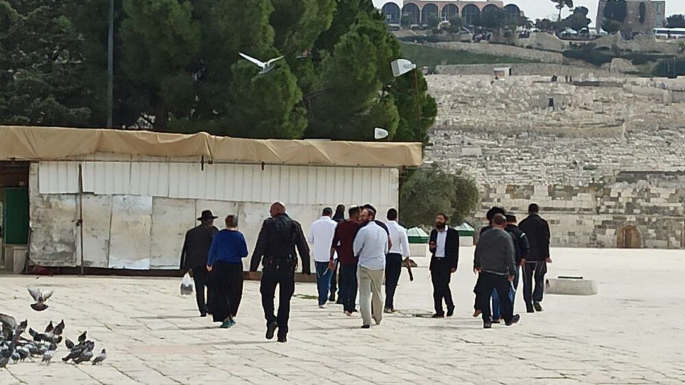 135 مستوطنا اقتحموا باحات المسجد الأقصى المبارك