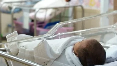 أكثر من 3 آلاف مولود و262 حالة وفاة بغزة خلال الشهر المنصرم