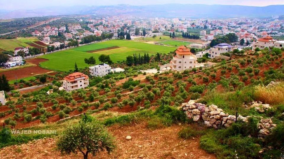 عن المغيّر وجالود وترمسعيا وأخواتها