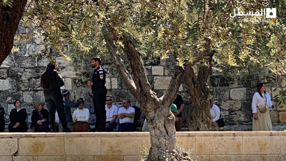 عشرات المستوطنين يقتحمون "الأقصى"