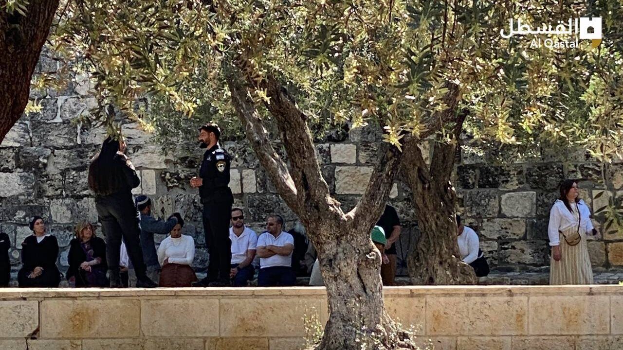 عشرات المستوطنين يقتحمون "الأقصى"