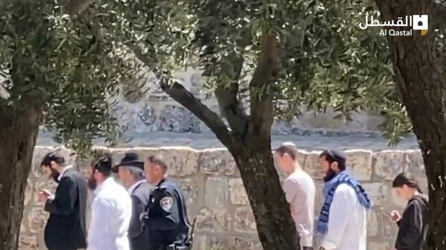 مستوطنون يقتحمون المسجد الأقصى