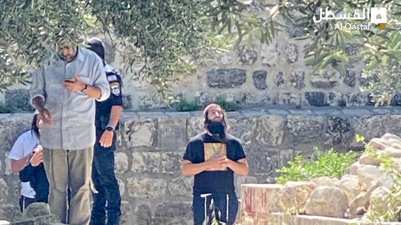 عشرات المستوطنين يقتحمون "الأقصى"