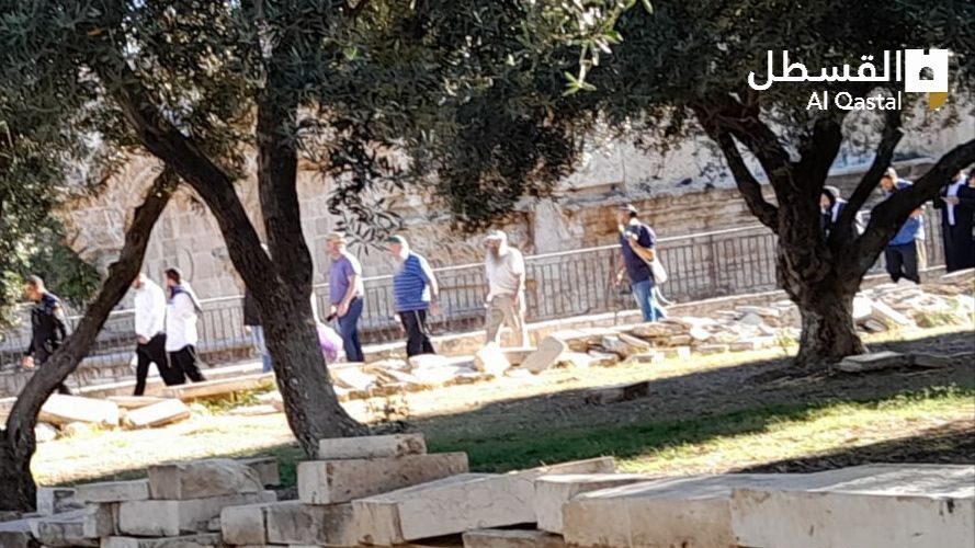 بحماية مشددة من شرطة الاحتلال.. عشرات المستوطنين يقتحمون الأقصى