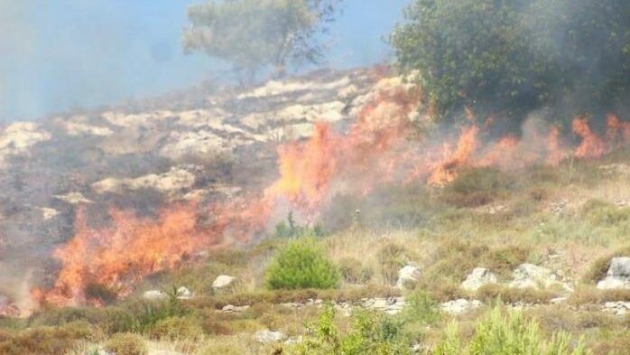 مستوطنون يحرقون عشرات الدونمات في اللبن الشرقية جنوب نابلس