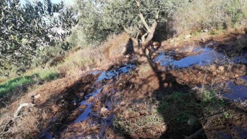 مستوطنون يضخون مياها عادمة في أراضي نحالين غرب بيت لحم